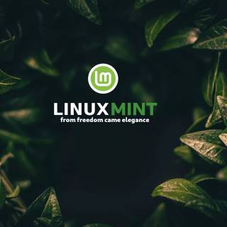 Linux Mint 4k wallpaper