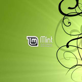 Linux Mint 4k wallpaper