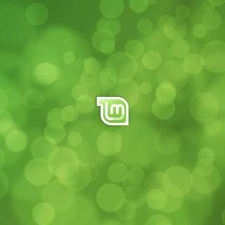 Linux Mint 4k wallpaper