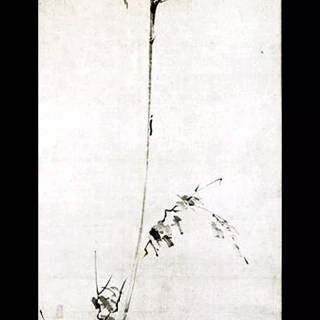 Vagabond phone 4k wallpaper