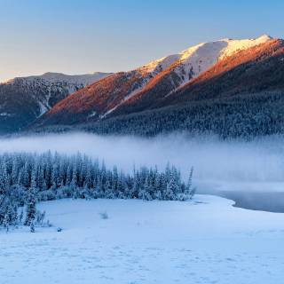 4k snow forest wallpaper