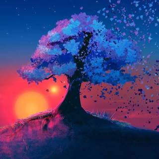 Phone cozy wallpaper