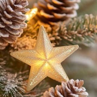 Phone cozy wallpaper