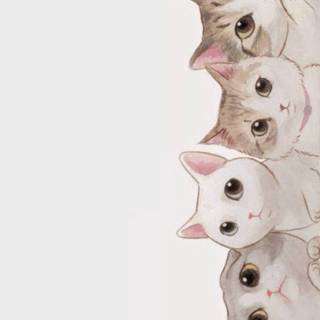 Funny cat iPhone wallpaper