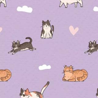 Funny cat iPhone wallpaper