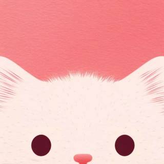 Funny cat iPhone wallpaper