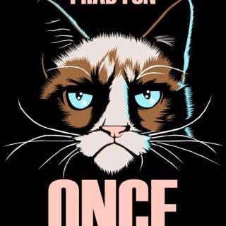 Funny cat iPhone wallpaper