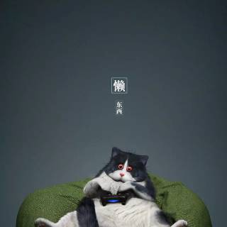 Funny cat iPhone wallpaper