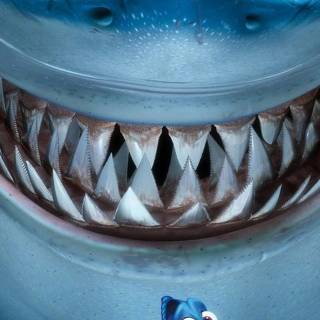 Finding Nemo iPhone wallpaper