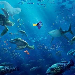 Finding Nemo iPhone wallpaper
