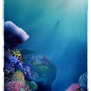 Finding Nemo iPhone wallpaper