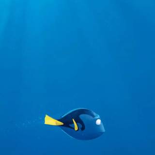 Finding Nemo iPhone wallpaper