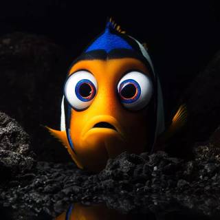 Finding Nemo iPhone wallpaper