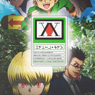 Hunter x Hunter iPhone 12 wallpaper