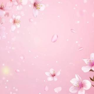 Cherry tree iPhone wallpaper