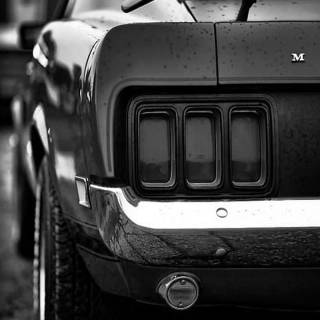 1969 Mustang phone wallpaper