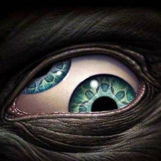 Eyes phone wallpaper