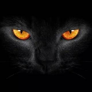 Eyes phone wallpaper