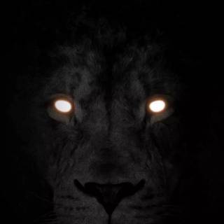 Eyes phone wallpaper