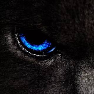 Eyes phone wallpaper