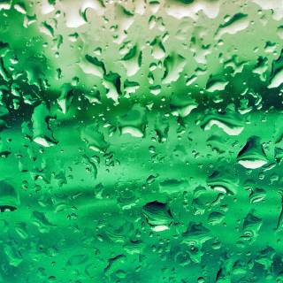 iPhone X green wallpaper