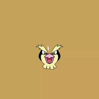 Pokémon HD phone wallpaper