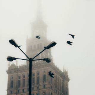 iPhone 12 cool wallpaper