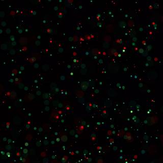 iPhone black screen wallpaper