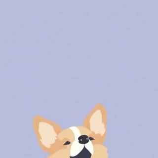 Corgi Kawaii wallpaper