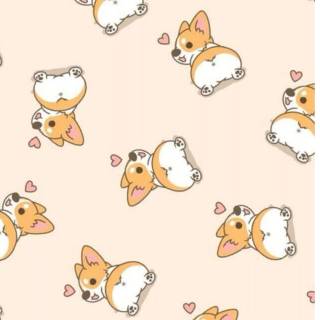 Corgi Kawaii wallpaper