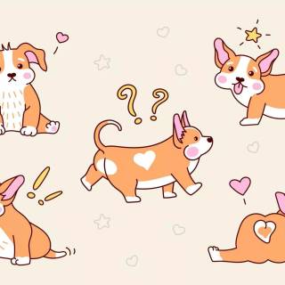 Corgi Kawaii wallpaper