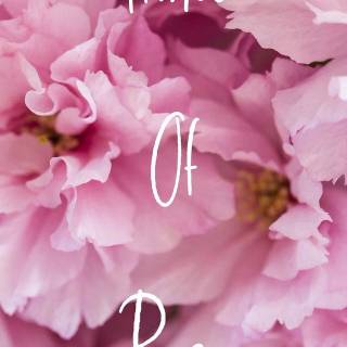 Prince of Peace wallpaper