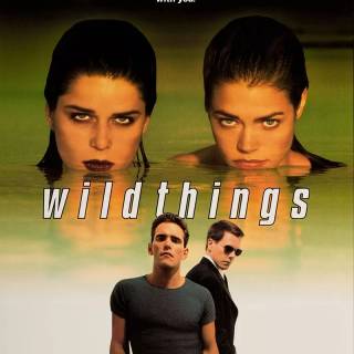 Wild Things 1998 film wallpaper