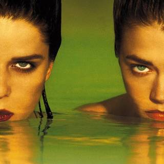 Wild Things 1998 film wallpaper