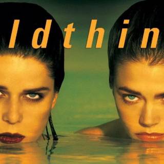 Wild Things 1998 film wallpaper
