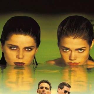 Wild Things 1998 film wallpaper