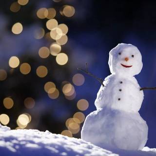 Preppy snowman wallpaper