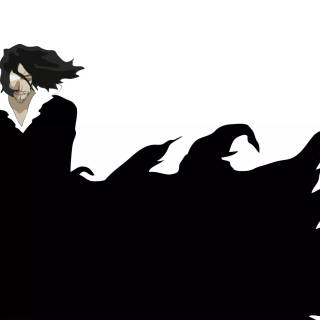 Bleach Zangetsu wallpaper