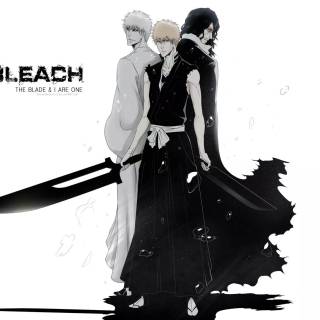 Bleach Zangetsu wallpaper