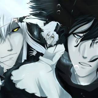 Bleach Zangetsu wallpaper