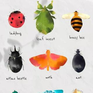 Cute bugs wallpaper