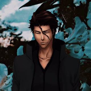 Aizen mobile wallpaper