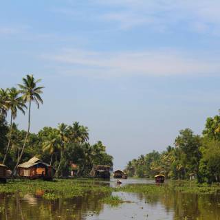Kerala backwaters wallpaper