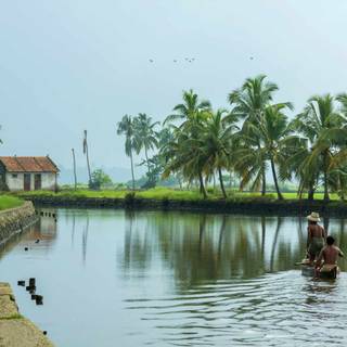 Kerala backwaters wallpaper
