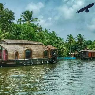 Kerala backwaters wallpaper