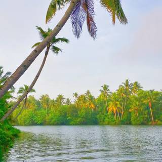 Kerala backwaters wallpaper