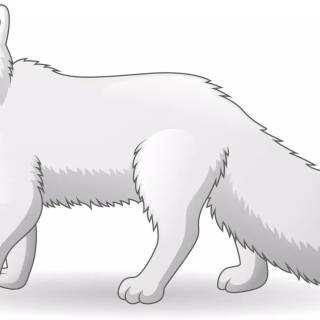 Arctic fox cartoon wallpaper