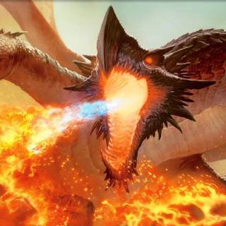 Angry dragon wallpaper