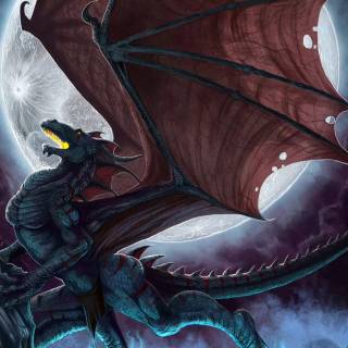 Angry dragon wallpaper