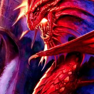 Angry dragon wallpaper